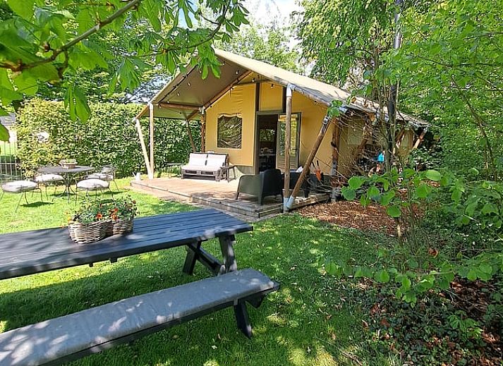 Guest house 373156 • Holiday property Midden Limburg • Vakantiehuis in Susteren