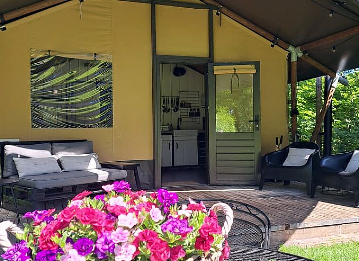 Guest house 373156 - Holiday property Midden Limburg - Vakantiehuis in Susteren