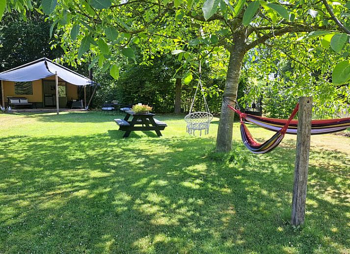 Guest house 373156 - Holiday property Midden Limburg - Vakantiehuis in Susteren