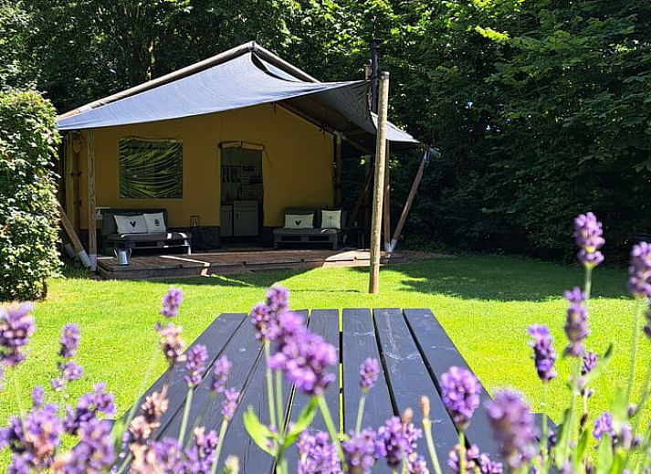Guest house 373156 - Holiday property Midden Limburg - Vakantiehuis in Susteren