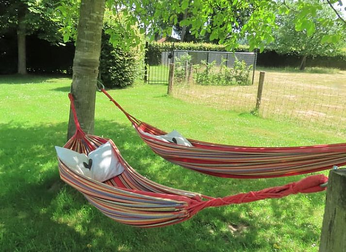 Guest house 373156 - Holiday property Midden Limburg - Vakantiehuis in Susteren