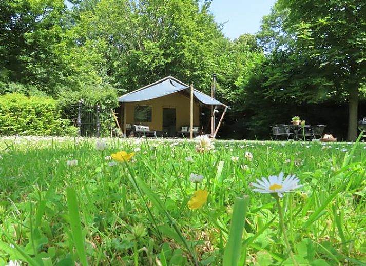 Guest house 373156 - Holiday property Midden Limburg - Vakantiehuis in Susteren
