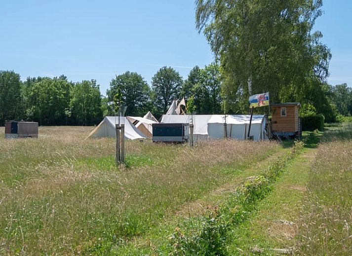 Verblijf 373172 • Vakantiewoning Midden Limburg • Huisje in Susteren 