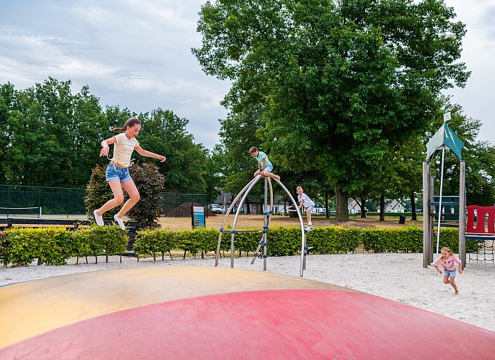 Unterkunft 373189 - Ferienhaus Midden Limburg - EuroParcs Limburg