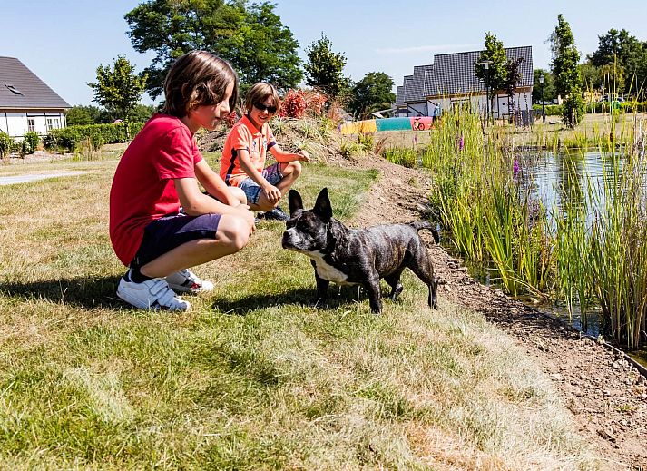 Unterkunft 373189 - Ferienhaus Midden Limburg - EuroParcs Limburg