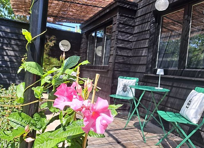 Verblijf 373192 - Vakantiewoning Midden Limburg - Vakantiehuis in Susteren