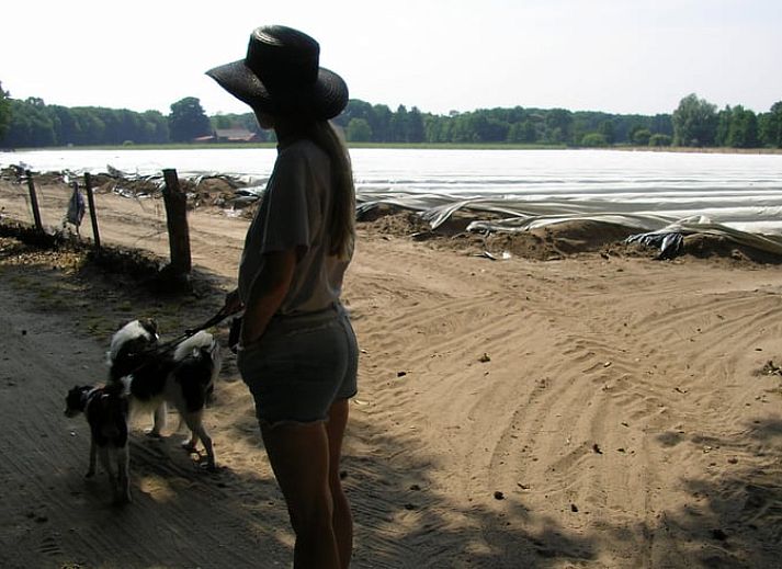Gemuetliches Wohnzimmer im Ferienhaus in Herkenbosch, Limburg.