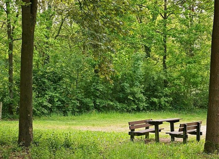Gemuetliches Wohnzimmer im Ferienhaus in Herkenbosch, Limburg.