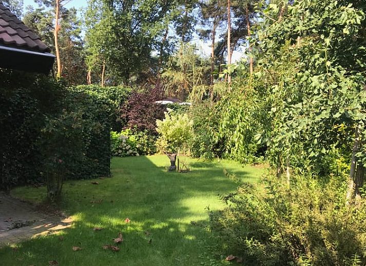 Unterkunft 374105 - Ferienhaus Midden Limburg - Vakantiehuisje in Meijel