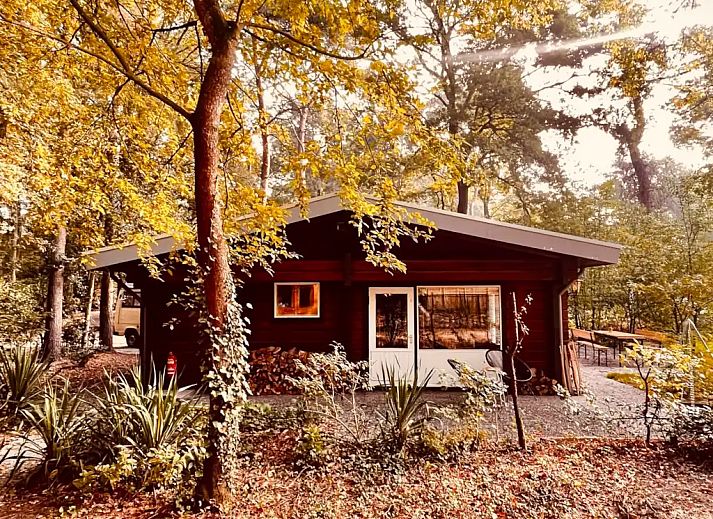 Unterkunft 374113 - Ferienhaus Midden Limburg - Boshuisje de Boskeet