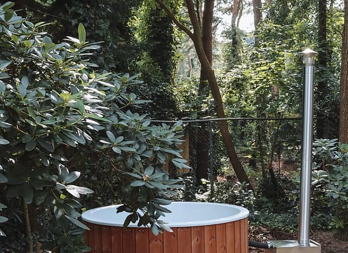 Gemuetliche Einrichtung des Ferienhauses in Meijel, Limburg, mit Retro-Radio und Buecherregal.