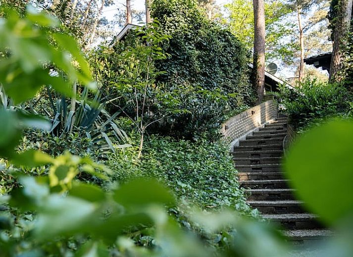 Charming vacation home Cottage in Meijel in the green Limburg countryside.