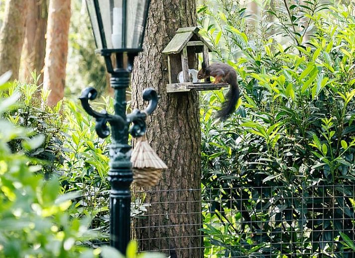 Cottage in Meijel, vacation home in Limburg with house number 27.