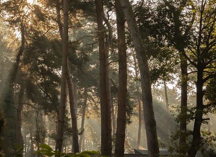 Cottage in Meijel, vacation home in Limburg with house number 27.