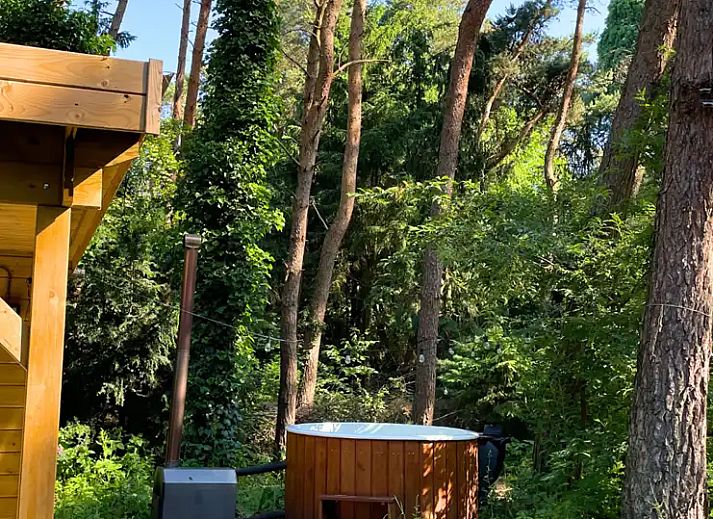Unterkunft 374132 - Ferienhaus Midden Limburg - Boshuisje Eden