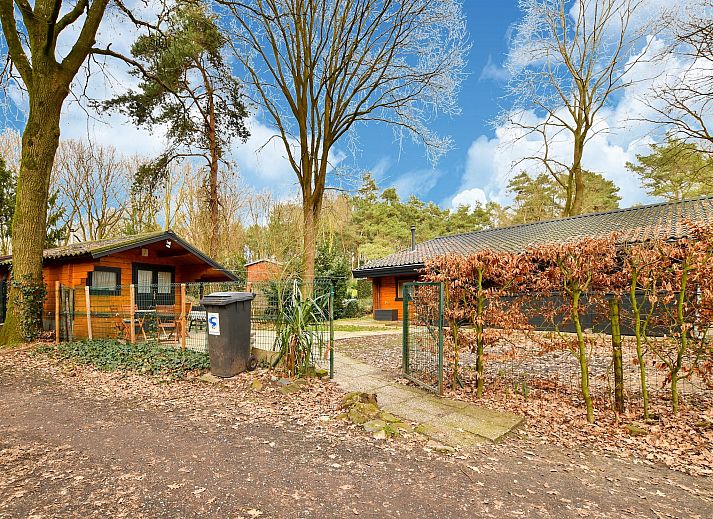 Unterkunft 374141 - Ferienhaus Midden Limburg - Stille WIlle Nr B126