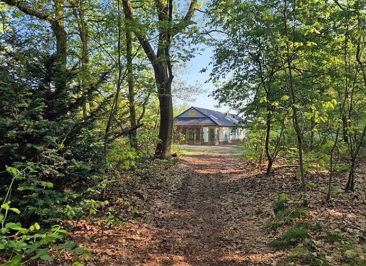 Unterkunft 374210 • Ferienhaus Midden Limburg • Vakantiehuis in Nederweert-Eind 