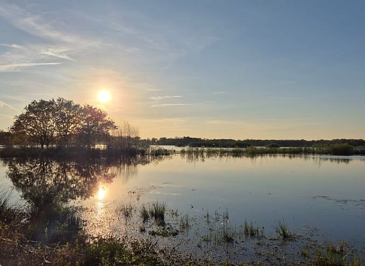 Modern kitchen and dining area in Holiday Home in Nederweert-Eind, Central Limburg, with stylish decor and natural light.