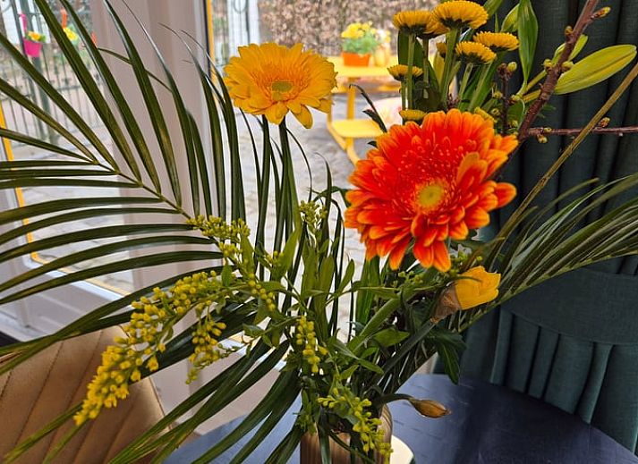 Modern kitchen in Holiday Home in Nederweert-Eind, Central Limburg overlooking sunny terrace and garden, ideal for a relaxing stay.