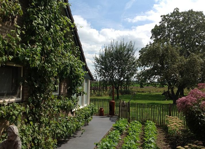 Voorzijde van Vakantiehuisje in Nederweert_Eind, een charmant vakantiehuis in Midden Limburg, Limburg.