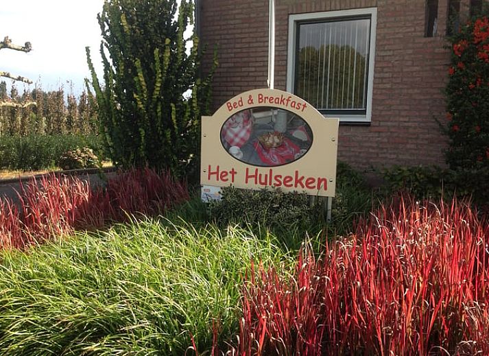 Voorzijde van Vakantiehuisje in Nederweert_Eind, een charmant vakantiehuis in Midden Limburg, Limburg.