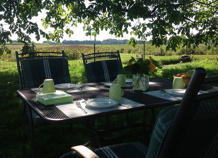 Groene tuin bij Vakantiehuisje in Nederweert_Eind, een vakantiehuis omringd door natuur in Midden Limburg.
