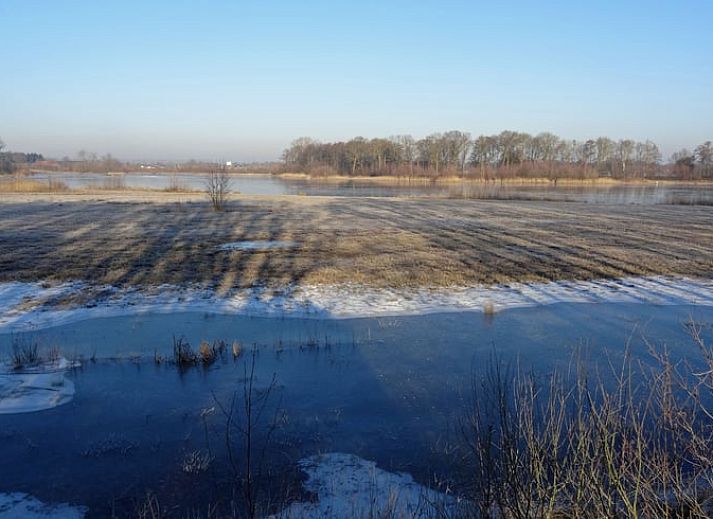 Zonnig terras van Vakantiehuisje in Nederweert_Eind, perfect voor ontspanning in Midden Limburg, Limburg.