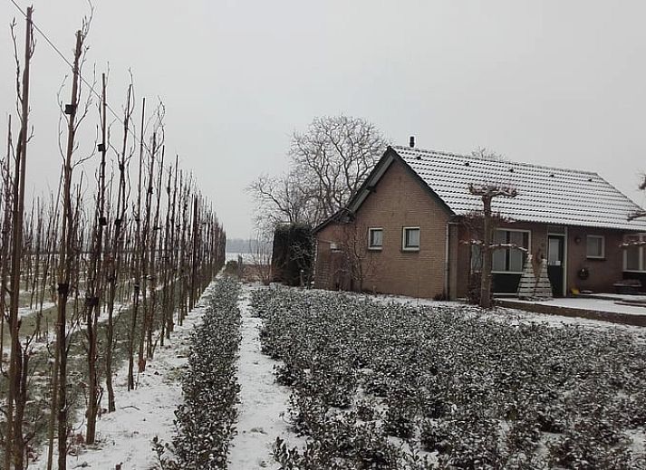 Zonnig terras van Vakantiehuisje in Nederweert_Eind, perfect voor ontspanning in Midden Limburg, Limburg.