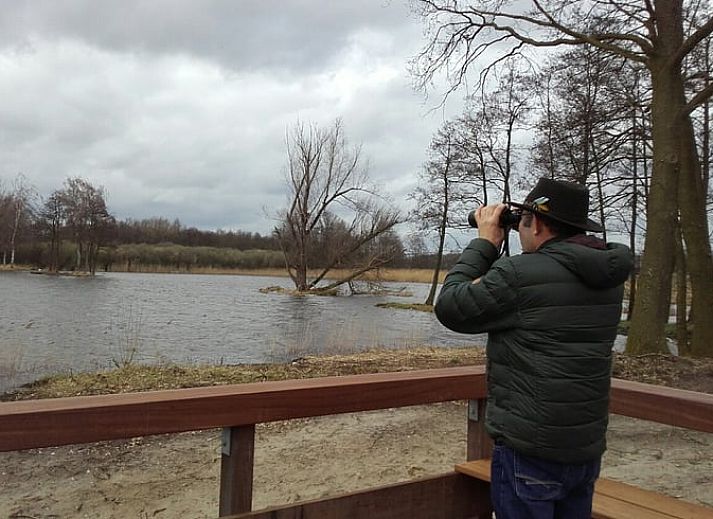 Zonnig terras van Vakantiehuisje in Nederweert_Eind, perfect voor ontspanning in Midden Limburg, Limburg.