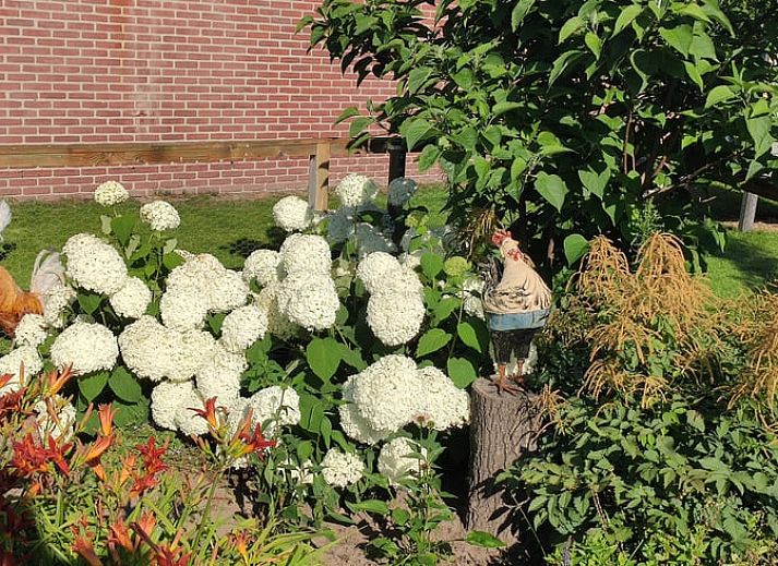 Geniessen Sie den gruenen Garten von Huisje in Kelpen-Oler, einem Ferienhaus in Mittellimburg, mit schoener Aussicht auf die Natur.