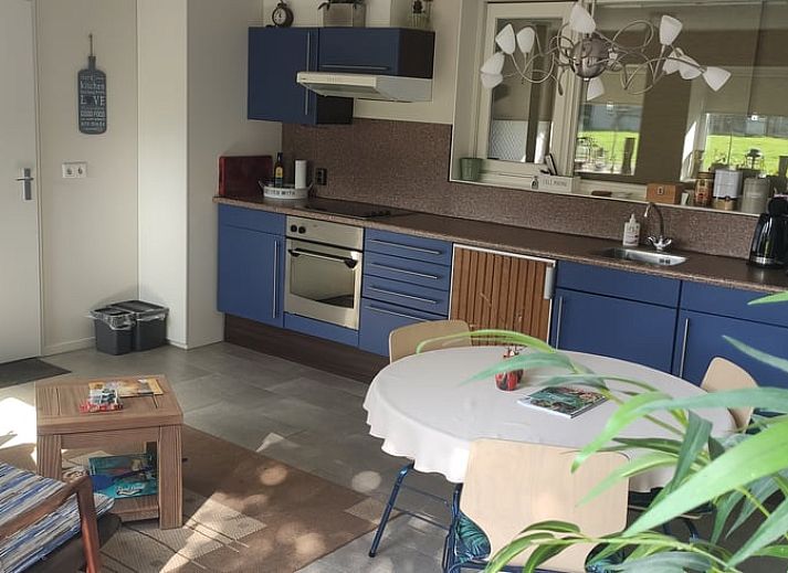 Garten im Ferienhaus in Kelpen-Oler, einem Ferienhaus in Mittellimburg, mit bluehenden Hortensien und rustikalem Charme.