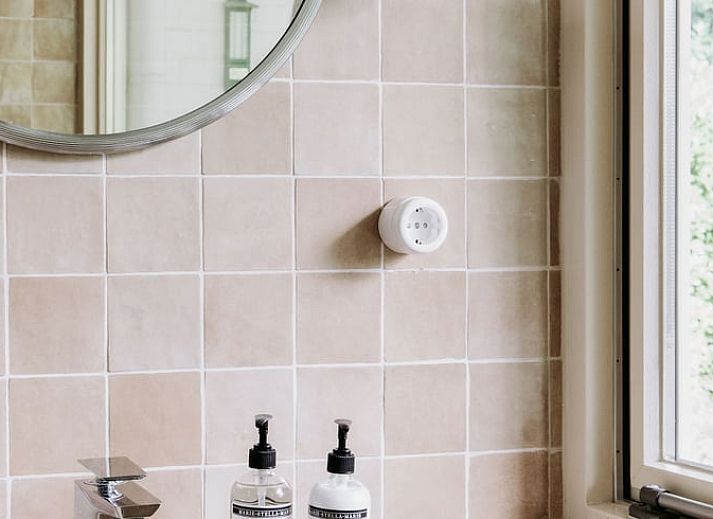 Stylish bathroom in Holiday Home in Haelen, Central Limburg, with modern sink and mirror.