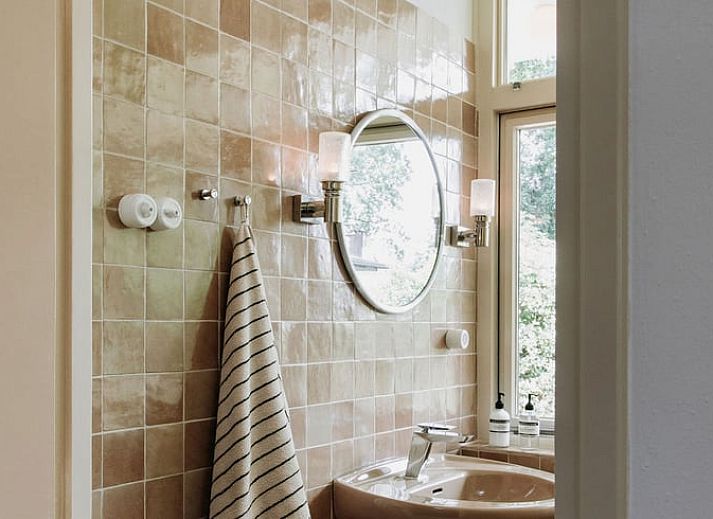 Stylish bathroom in Holiday Home in Haelen, Central Limburg, with modern sink and mirror.