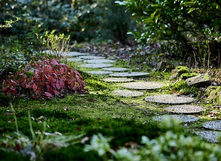 Cozy living room in Holiday Home in Haelen, Central Limburg, overlooking the green surroundings.