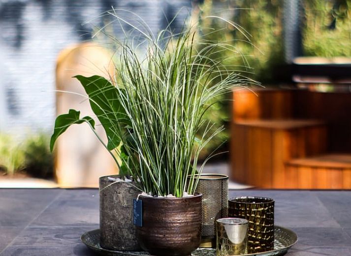 Unterkunft 375001 - Ferienhaus Midden Limburg - Vakantiehuisje in Panningen