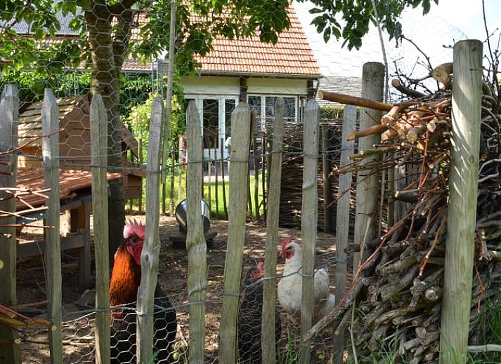 Verblijf 375201 - Vakantiewoning Midden Limburg - Vakantiehuis in Melick
