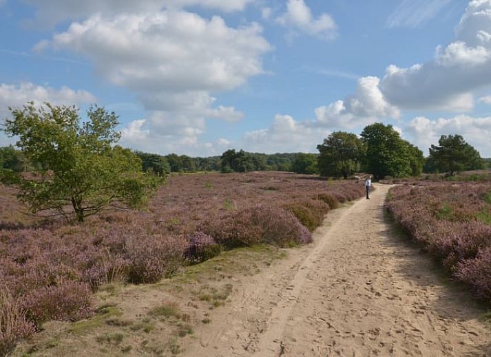 Verblijf 375201 - Vakantiewoning Midden Limburg - Vakantiehuis in Melick