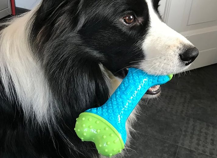 Unterkunft 375202 - Ferienhaus Midden Limburg - Vakantiehuis in Melick