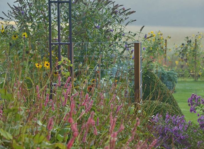 Unterkunft 375202 - Ferienhaus Midden Limburg - Vakantiehuis in Melick