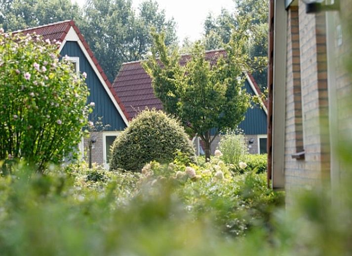 Unterkunft 380308 - Ferienhaus Noord Limburg - Huisje in Plasmolen