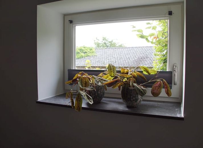 Guest house 380702 - Bed and Breakfast Noord Limburg - Huisje in Wellerlooi