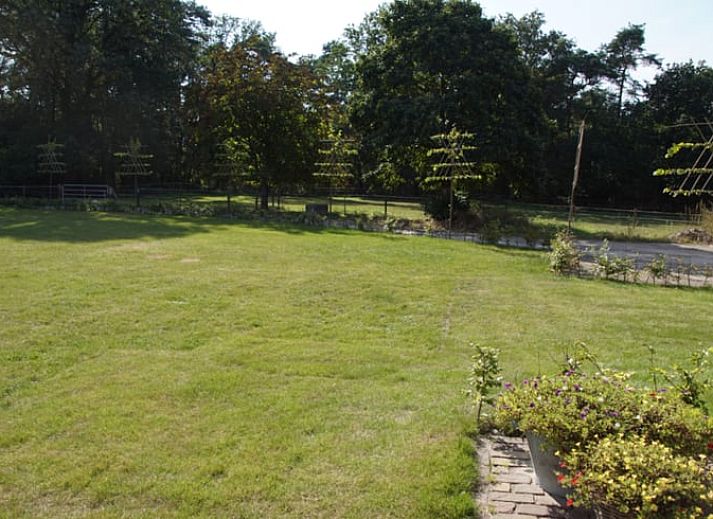 Guest house 380702 - Bed and Breakfast Noord Limburg - Huisje in Wellerlooi
