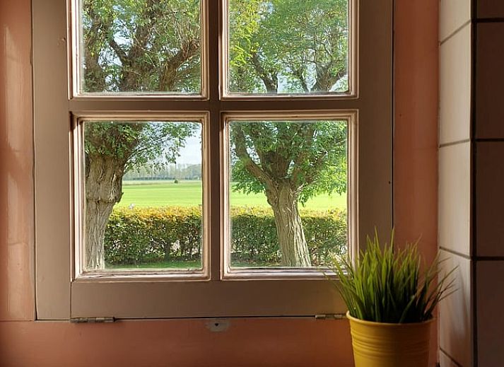 Charmante voordeur van Vakantiehuisje in Well (L), Noord Limburg, met klassieke leeuwenkop op een zonnige dag.