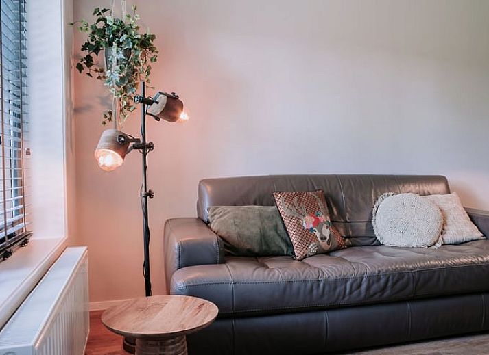 Entree van Vakantiehuis in Well, Noord Limburg met kleurrijke stoelen en bloeiende planten.