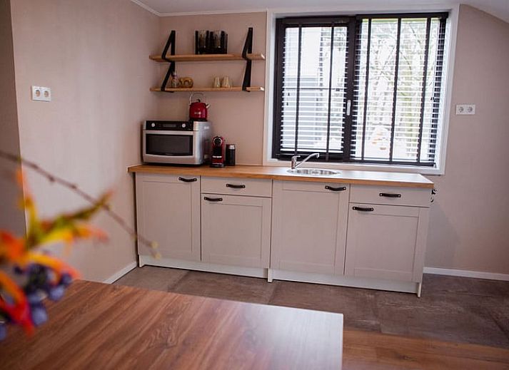 Gezellig terras bij Vakantiehuis in Well, Noord Limburg met eettafel en bloemen.