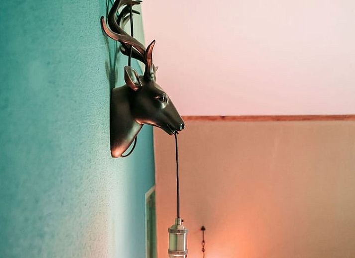 Comfortabele zitruimte in Vakantiehuis in Well, Noord Limburg met leren bank en verlichting.