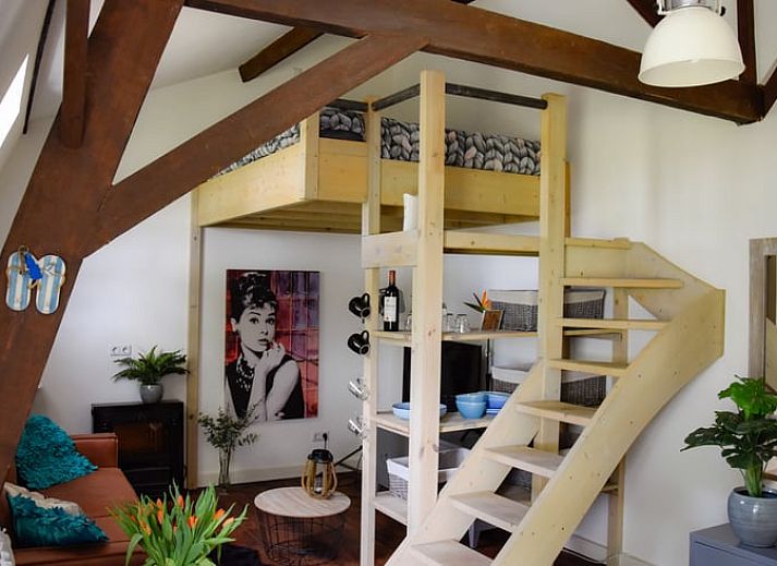 Comfortabele woonkamer in Huisje in Well, vakantiehuis in Well, Limburg, met gezellige zithoek en decoratieve planten.