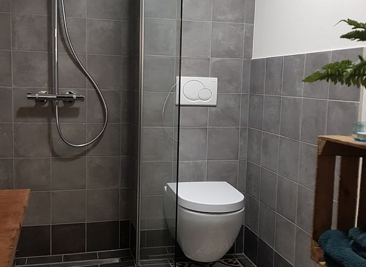 Comfortabele woonkamer in Huisje in Well, vakantiehuis in Well, Limburg, met gezellige zithoek en decoratieve planten.