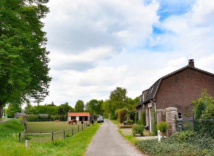 Groene planten in de binnenruimte van Huisje in Well, vakantiehuis in Well, Limburg, creeren een serene sfeer.