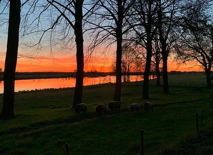 Stimmungsvoll beleuchtetes Landhaus in Geijsteren, Nord-Limburg, umgeben von Baeumen bei Sonnenuntergang.